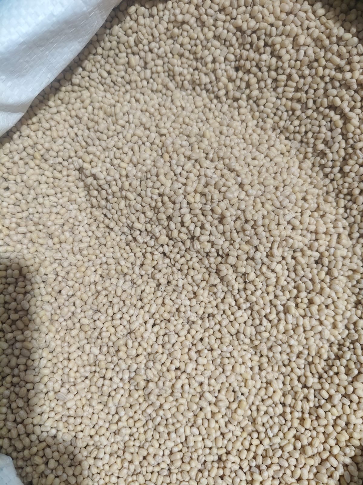 Urid daal [1kg]